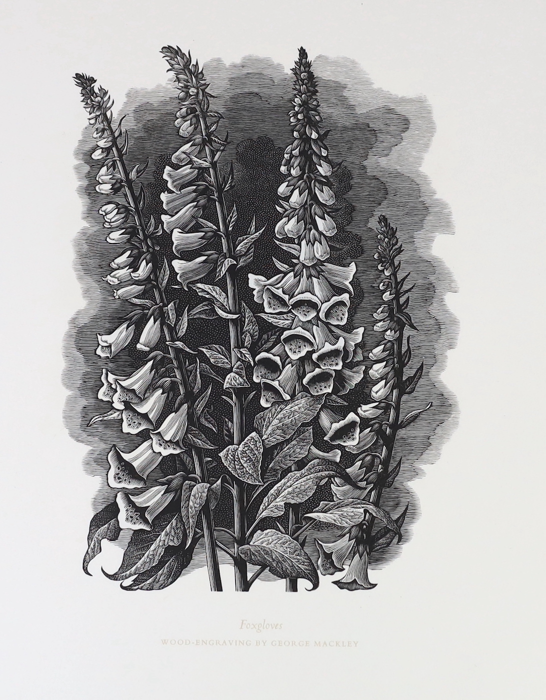 Colt, Armida Maria-Theresa - Weeds and Wildflowers: some irreverent words. With wood engravings by George Mackley. Limited Edition (of 250 numbered copies, signed by the artist). decorated title, frontis. and 10 other il